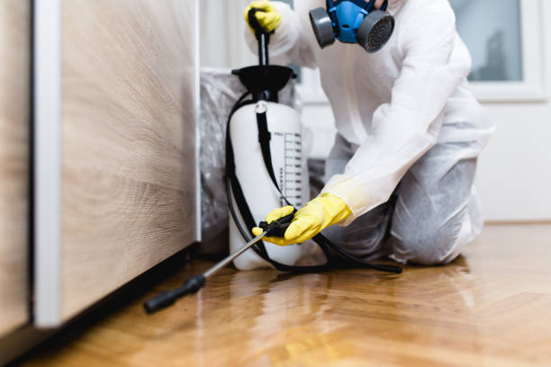 Best Ant Control Services  in Emporia, KS