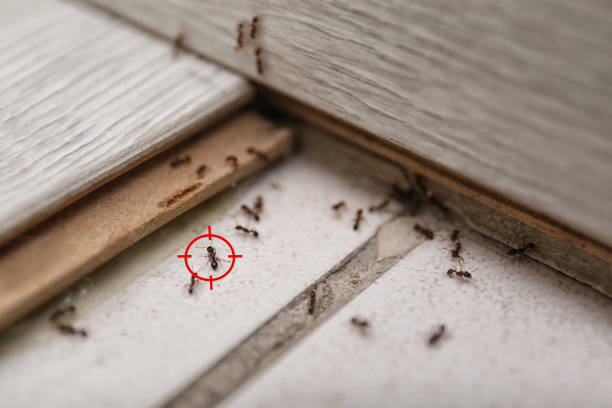 Best Pest Inspection Near Me  in Emporia, KS