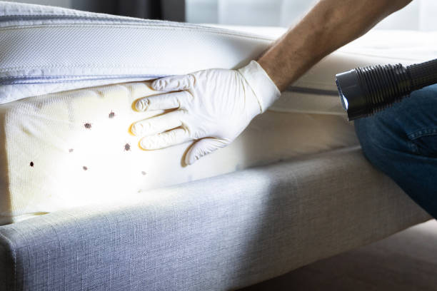 Best Affordable Pest Control Services  in Emporia, KS
