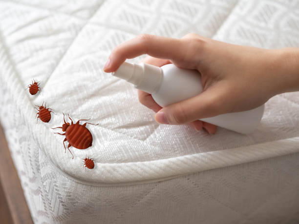 Best Residential Pest Control  in Emporia, KS